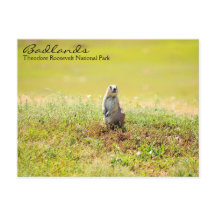 Postal de Dakota del Norte