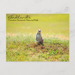 Postal de Dakota del Norte