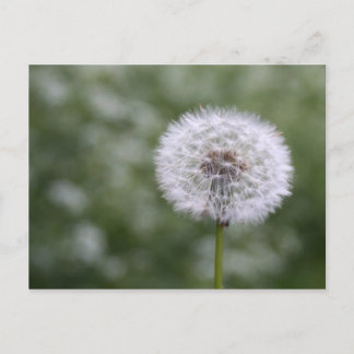 Postal de Dandiliion