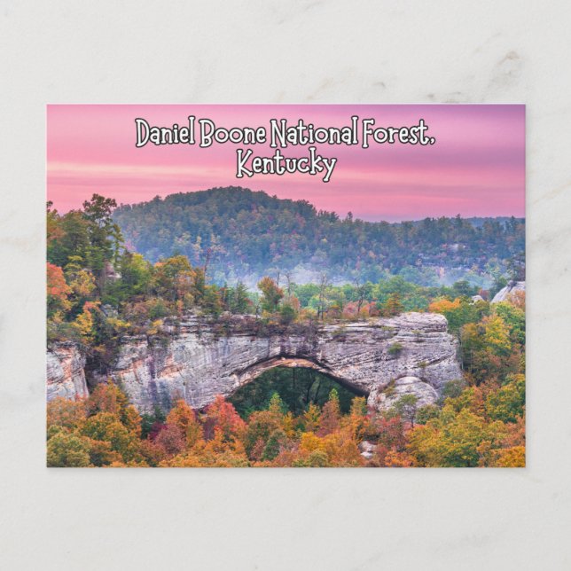 Postal de Daniel Boone National Forest Kentucky (Anverso)