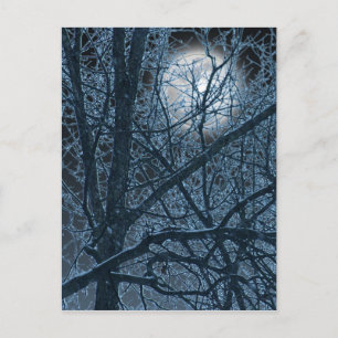 postal de DARK MOON