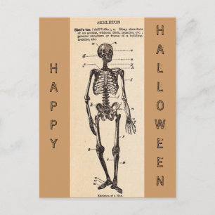 Postal de definición "Skeleton" vintage