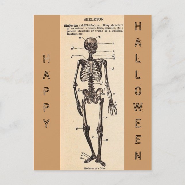 Postal de definición "Skeleton" vintage (Anverso)