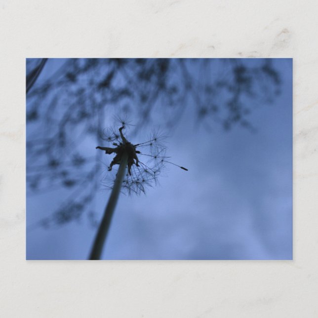 Postal de deseo (Anverso)