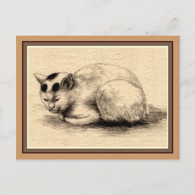 Postal de dibujo de tinta japonesa para gato domés (Anverso)