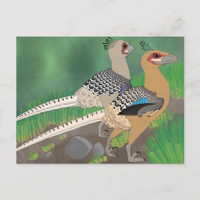 Postal de dinosaurio - Acheroraptor (Anverso)