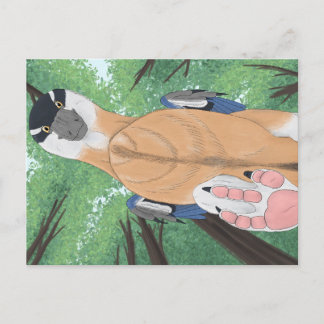 Postal de dinosaurio - Dromaeopodus