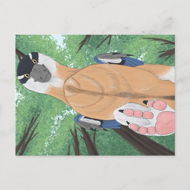 Postal de dinosaurio - Dromaeopodus (Anverso)