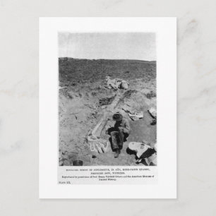 Postal de diplodocumentus dinosaur dig art