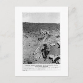 Postal de diplodocumentus dinosaur dig art