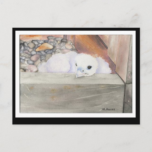 Postal de diseño de Orion de B.Weaver