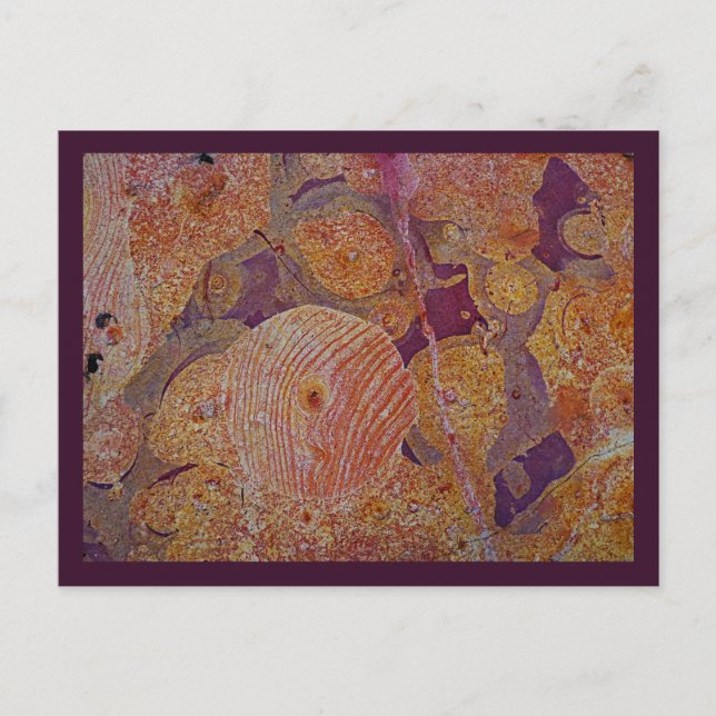 postal de diseño terrestre (Anverso)