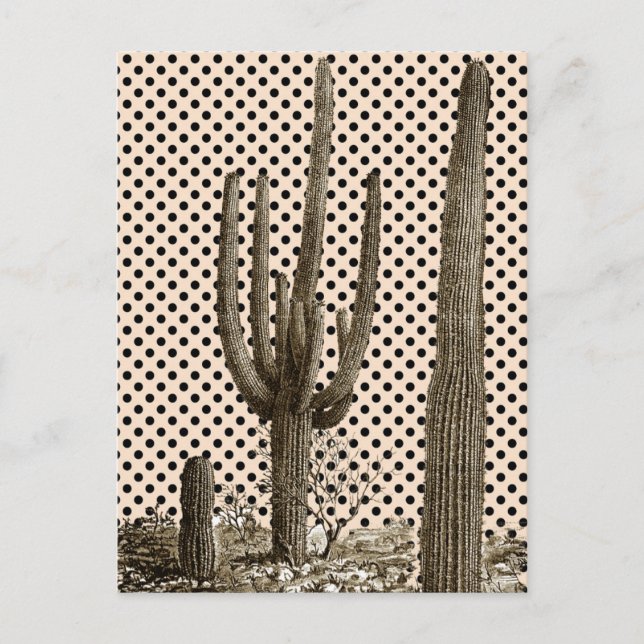 Postal de diva del desierto (Anverso)