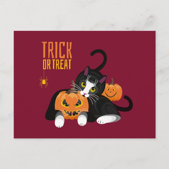 Postal de diversión de gato de Halloween 'Truco o  (Anverso)