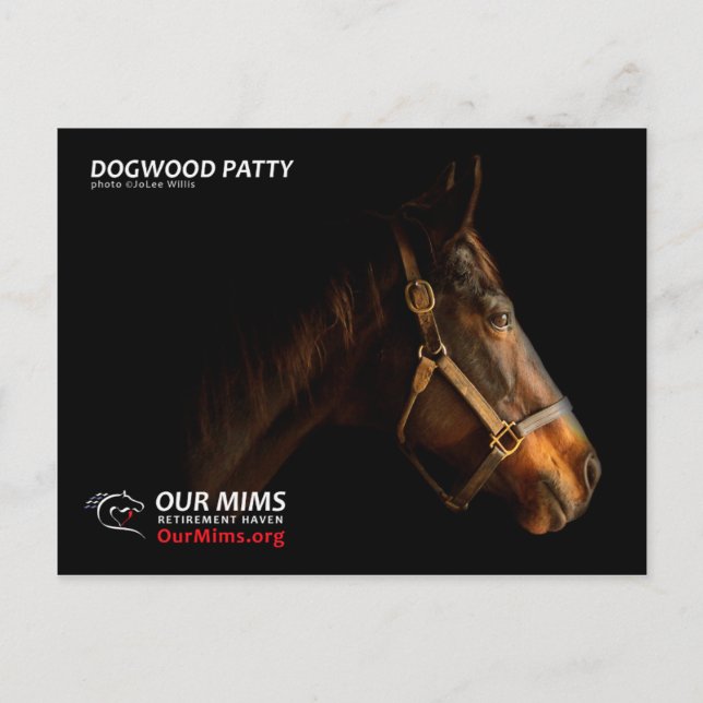 Postal de Dogwood Patty (Anverso)