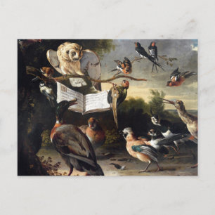 Postal De dónde vienen las canciones de los pájaros