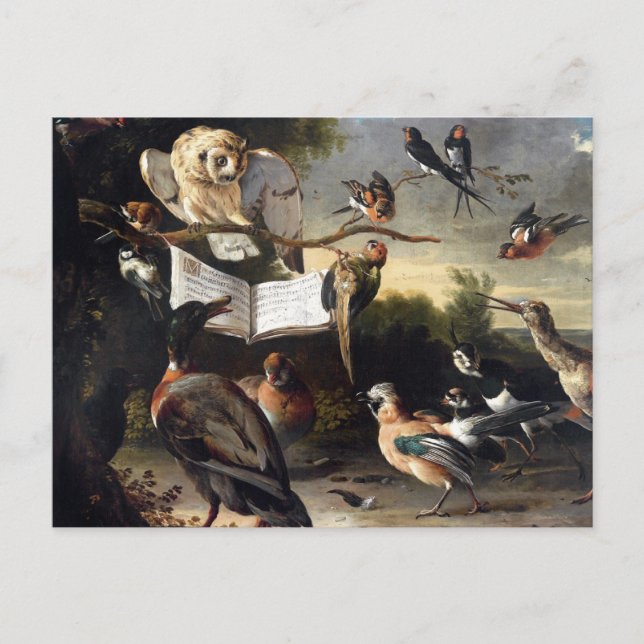 Postal De dónde vienen las canciones de los pájaros (Anverso)