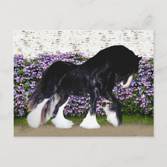 Postal de "Donegal" (Anverso)