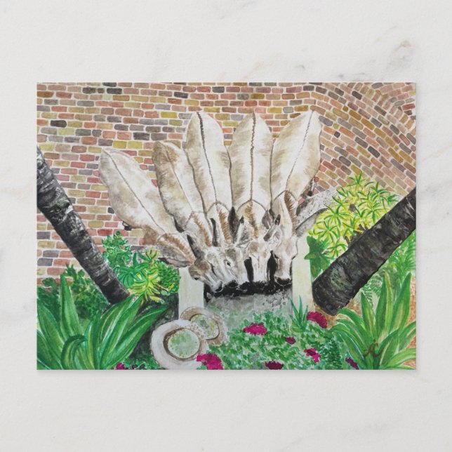 Postal de Donkey (Anverso)