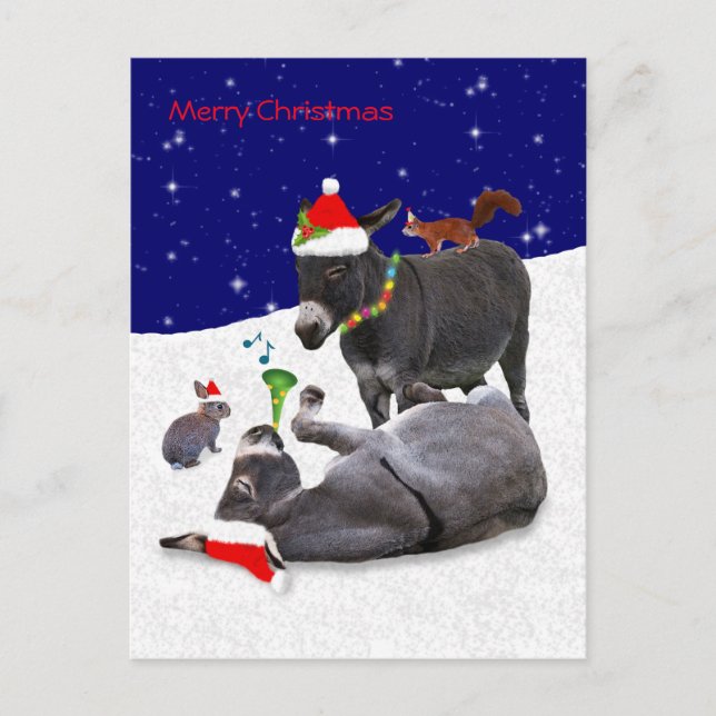 Postal de Donkey Daze (Anverso)