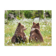 Postal de dos amigos