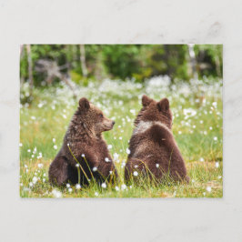 Postal de dos amigos