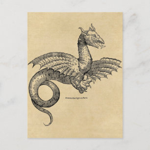 Postal de Dragon Parchment