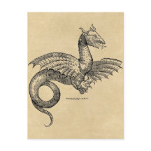 Postal de Dragon Parchment