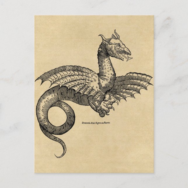 Postal de Dragon Parchment (Anverso)