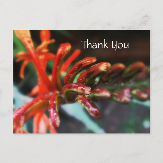 Postal de ducha de flores (Anverso)