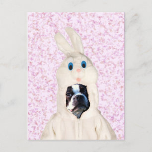 Postal de Easter bunny boston terrier