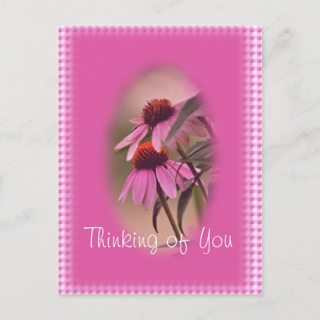 Postal de Echinacea y Seersucker - personalizar (Anverso)