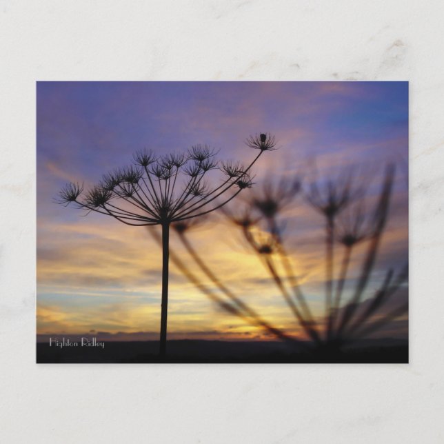 Postal de Ecos de Amanecer de Otoño (Anverso)