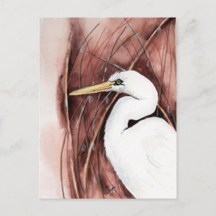 postal de egret blanco