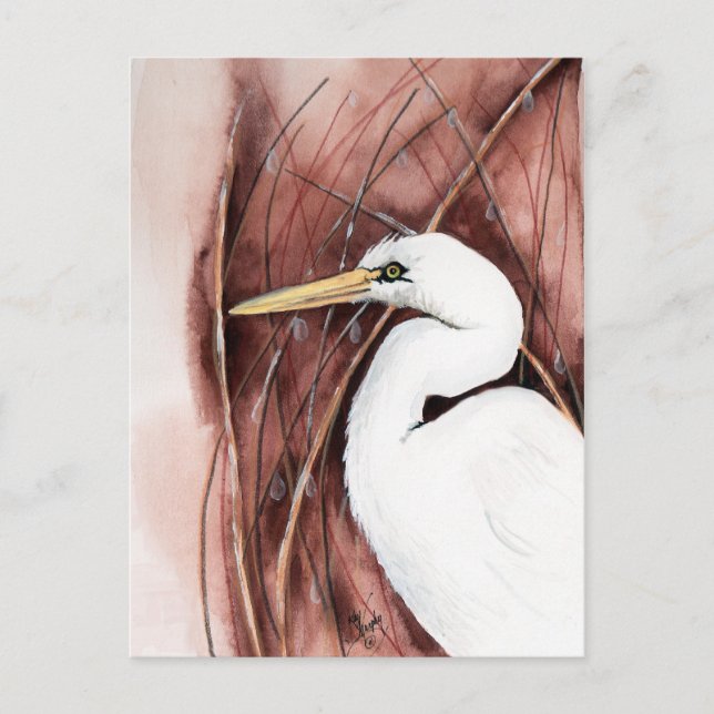 postal de egret blanco (Anverso)
