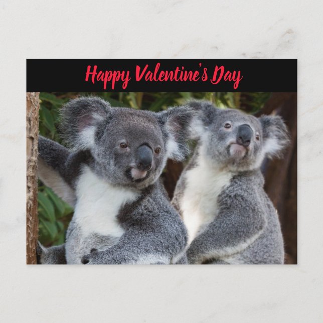 Postal de el día de San Valentín Koala Bears (Anverso)
