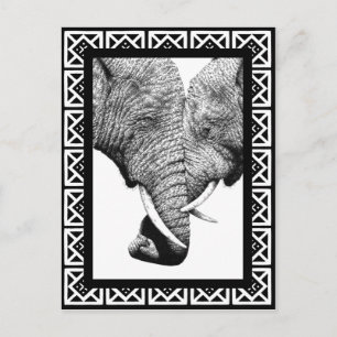 Postal de elefantes africanos