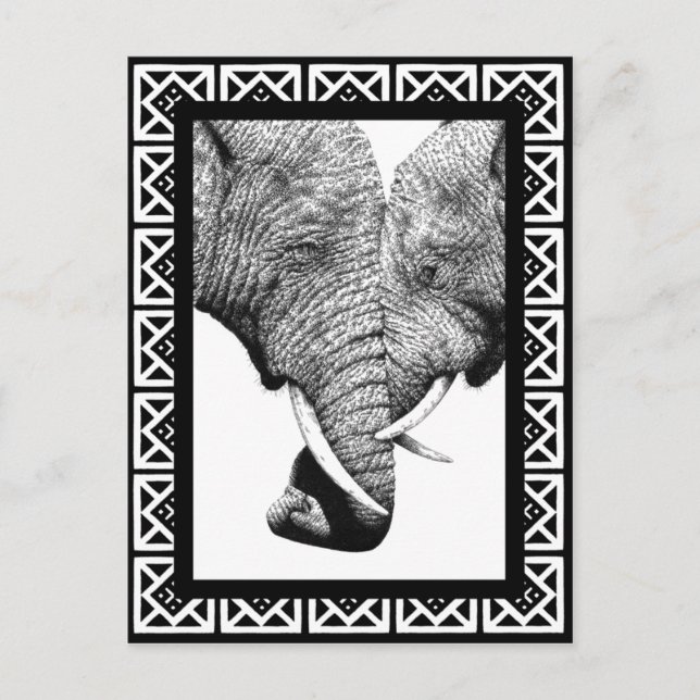 Postal de elefantes africanos (Anverso)