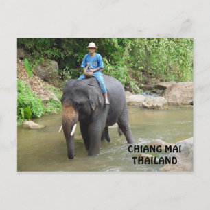 Postal de Elephant Chiang Mai