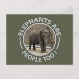 postal de ELEPHANTS