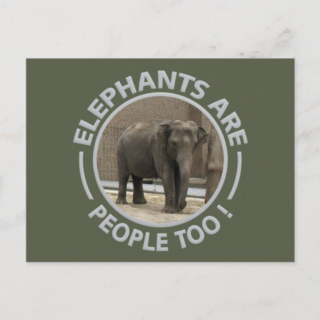 postal de ELEPHANTS (Anverso)