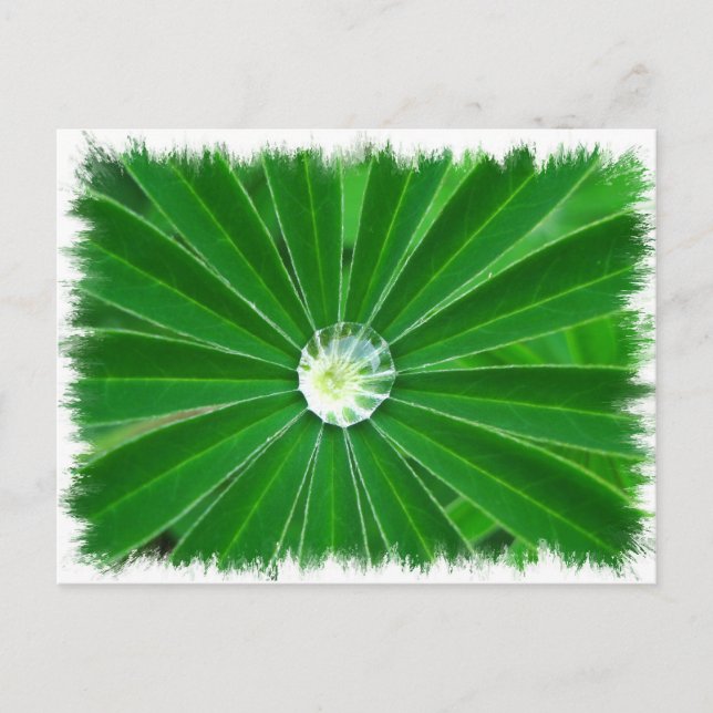 Postal de energía verde (Anverso)