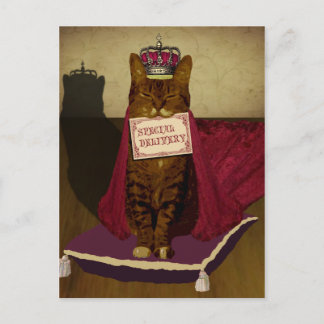 Postal de entrega especial para el gato rey