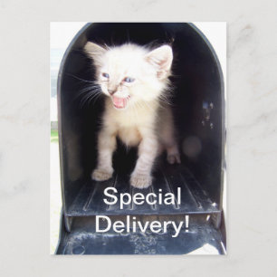 Postal de envío especial