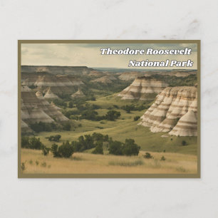 Postal de época del parque nacional Theodore Roose