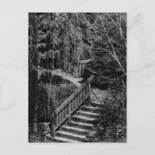 Postal de escalera de jardín oculto