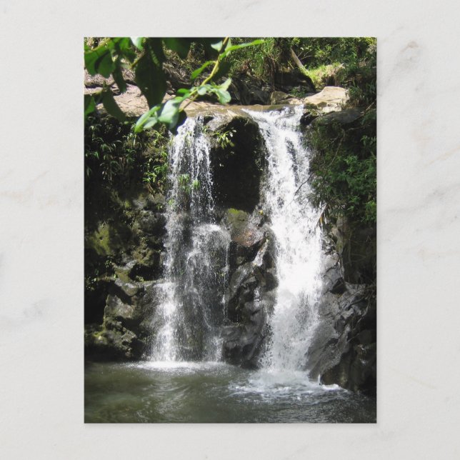 Postal de escenas de cascada (Anverso)
