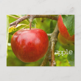 Postal de escrituras "apple" de Proverbs 7:2