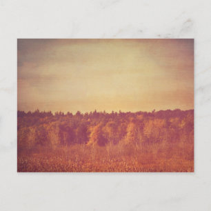 Postal de espacios abiertos amplios