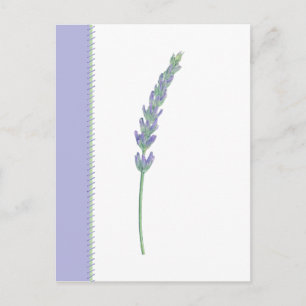 Postal de espiral de lavanda